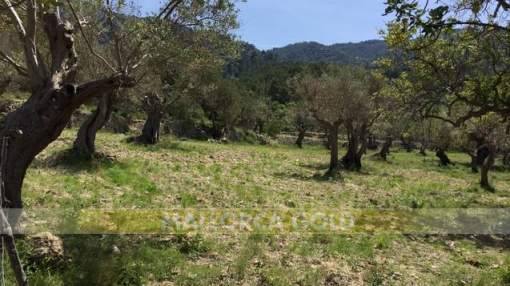Building plot in a quiet location with a lot of privacy Building plot in a quiet location with a lot of privacy