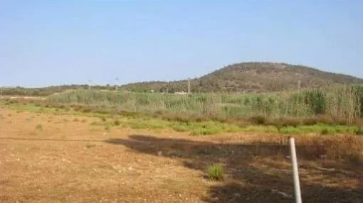 Large plot with potential for a residential or commercial project Large plot with potential for a residential or commercial project