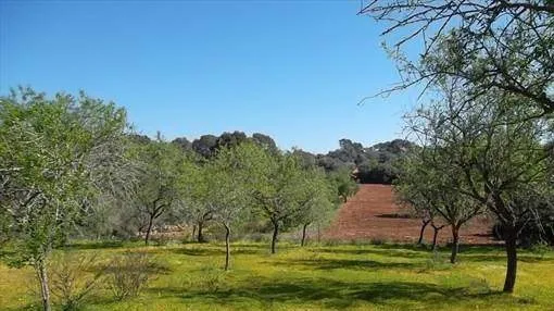 Picturesque land with planning permission for S'Alqueria Blanca Picturesque land with planning permission for S'Alqueria Blanca