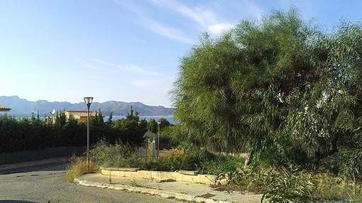 Corner building plot in a prime residential area of Bonaire in Alcudia, in northern Mallorca Corner building plot in a prime residential area of Bonaire in Alcudia, in northern Mallorca