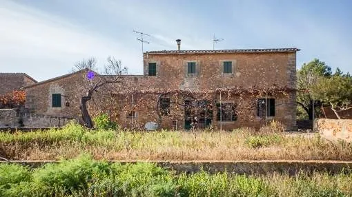 Rustic country house on a large plot on the outskirts of Son Ferriol Rustic country house on a large plot on the outskirts of Son Ferriol