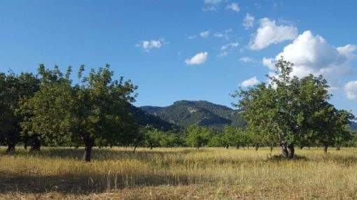 Large building plot with lots of possibilities in Selva Large building plot with lots of possibilities in Selva