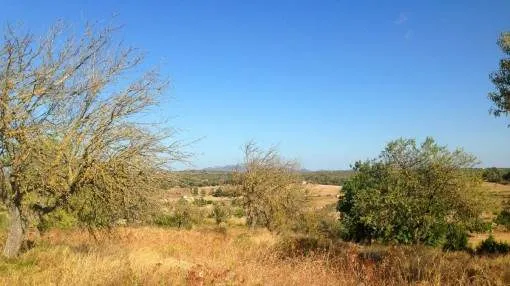 Building plot with construction licence surrounded by rolling hills in the countryside near Santa Margarita
