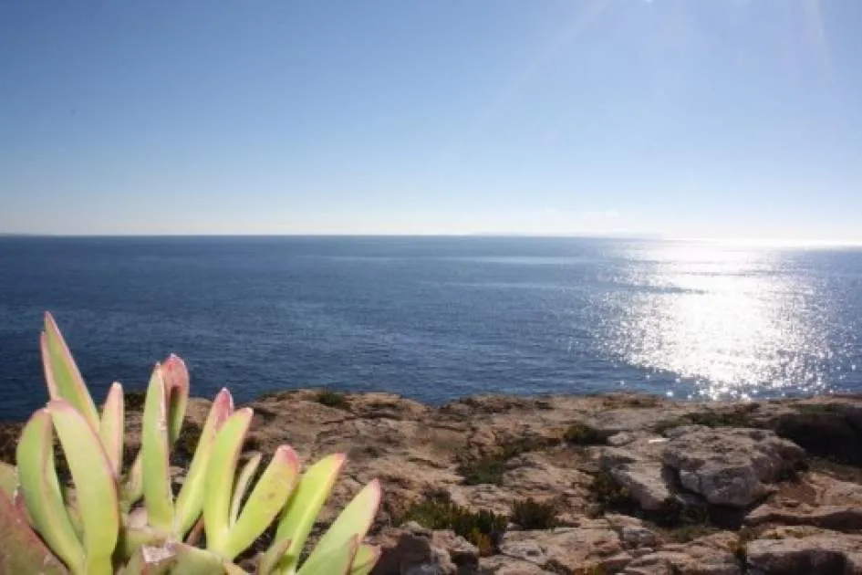 Spectacular plot on the 1st sea line with views to the island of Cabrera