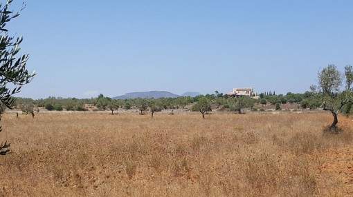 Building plot near Cala Llombards with beautiful sweeping views Building plot near Cala Llombards with beautiful sweeping views