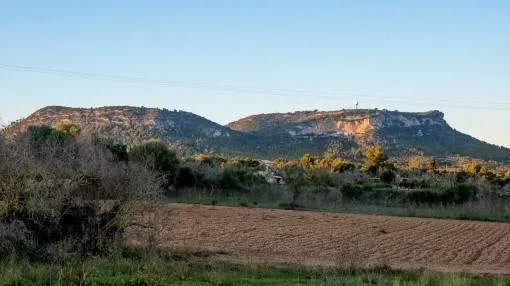 Large finca building plot with project in Llucmajor