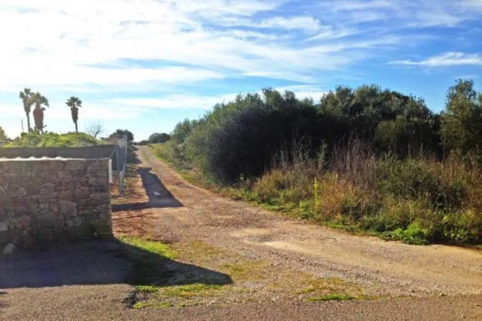 Two adjoining building plots with sweeping views to the Tramuntana only 3 kms from the beach