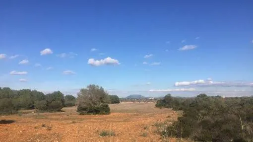 Quietly-situated building plot near to Cala Pi