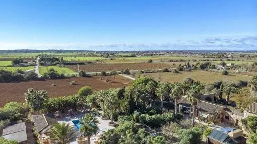 Idyllic finca with palm garden between Campos and Es Trenc Idyllic finca with palm garden between Campos and Es Trenc