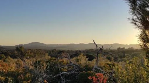 Building plot in a lovely finca area in San Llorenc