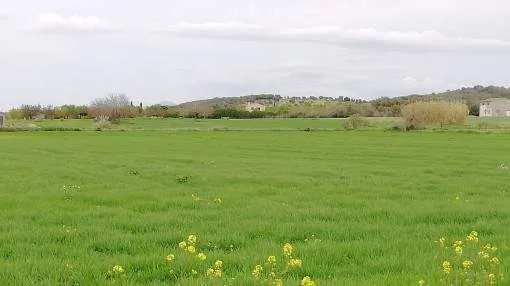 Beautiful building plot in the heart of Mallorca