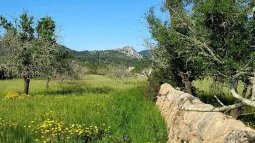 Wonderful building plot with spectacular views of the massive Randa in Llucmajor Wonderful building plot with spectacular views of the massive Randa in Llucmajor