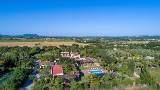 Sophisticated finca with a 40.000 sqm plot, palm garden, pool and holiday renting licence in Binissalem - purchase Sophisticated finca with a 40.000 sqm plot, palm garden, pool and holiday renting licence in Binissalem - purchase