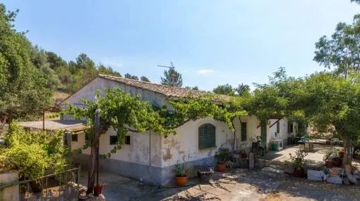 Rustic finca in need of complete renovation with 38 hectares of land in Bunyola
