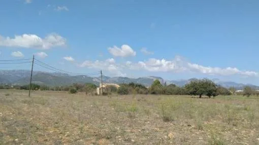 Extensive building plot with panoramic views of the Tramuntana mountains in the attractive village of Santa Maria Extensive building plot with panoramic views of the Tramuntana mountains in the attractive village of Santa Maria