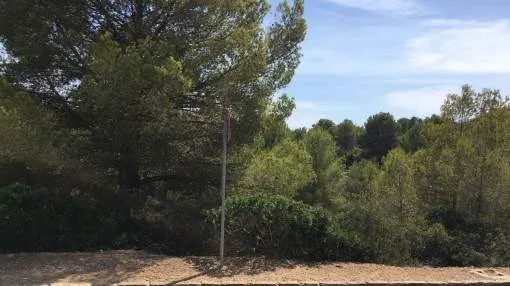 A large south oriented plot for building a family house in Cala Vinyas A large south oriented plot for building a family house in Cala Vinyas
