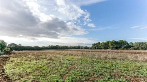 700.000 sqm plot of land in Sencelles containing buildings requiring renovation, farmland and wooded areas 700.000 sqm plot of land in Sencelles containing buildings requiring renovation, farmland and wooded areas