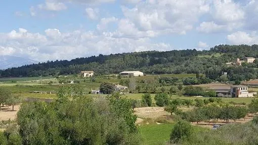 Beautiful building plot with sweeping views in Porreres