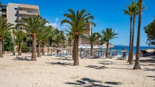 Renovated apartment on the 1st sea line in Cala Vinyas Renovated apartment on the 1st sea line in Cala Vinyas