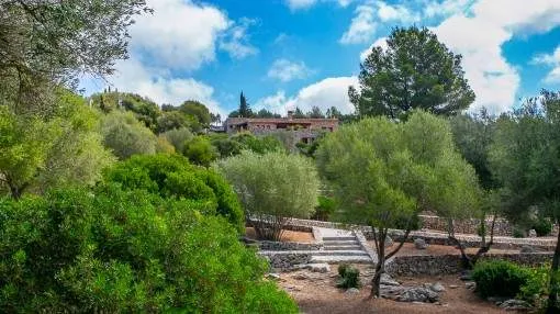 Wonderful, very well-maintained stone finca with pool and much privacy between Son Servera and Arta