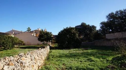 Beautiful building plot in a quiet, central location in Pina Beautiful building plot in a quiet, central location in Pina