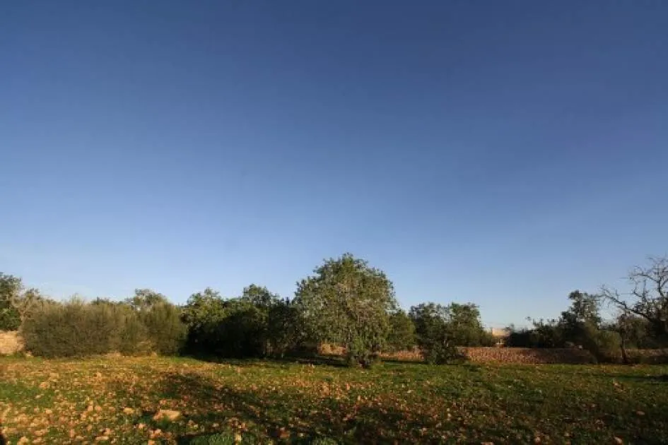 Wonderful building plot for a large finca near Llucmajor