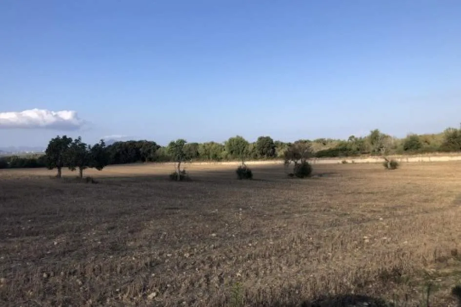 Idyllically-situated finca building plot in Muro for the construction of a finca