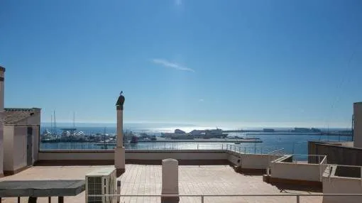 Spacious, bright apartment with sea views in Son Armadans