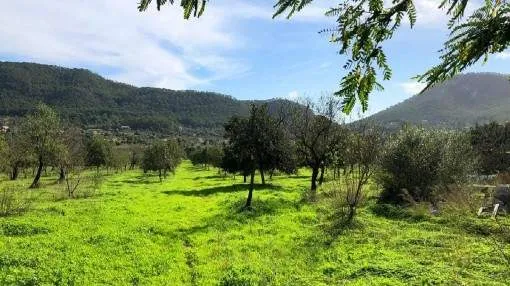 Wonderful building plot close to the harbour in Port Andratx Wonderful building plot close to the harbour in Port Andratx