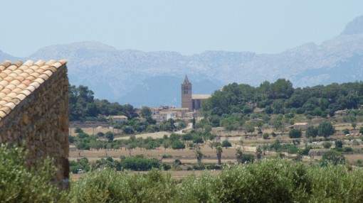 Beautiful finca-plot with building licence and its own olive grove between Sant Joan and Sineu Beautiful finca-plot with building licence and its own olive grove between Sant Joan and Sineu