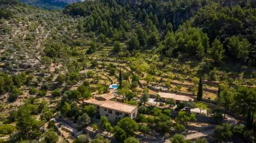Quietly-situated finca with guest house and its own mountain in Alaro Quietly-situated finca with guest house and its own mountain in Alaro