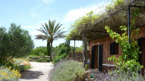 Casita on a family property in Es Llombards Casita on a family property in Es Llombards