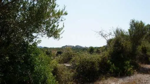 Wonderful, quiet finca building plot with shell construction near Arta Wonderful, quiet finca building plot with shell construction near Arta