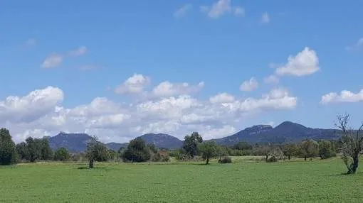 Wonderful building plot with enchanting panoramic views near Cas Concos Wonderful building plot with enchanting panoramic views near Cas Concos