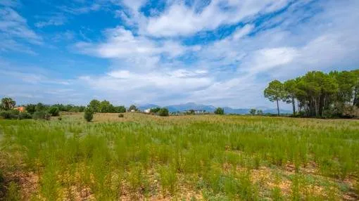 Attractive finca building plot of 21.452 sqm with views of the Tramuntana near Sencelles