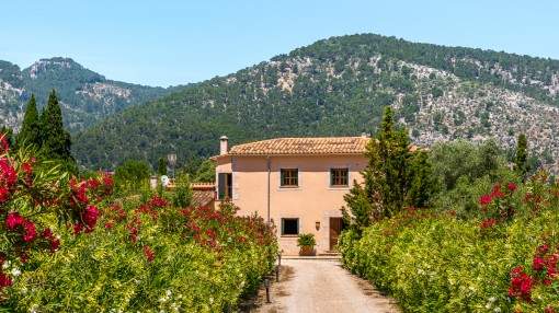 Authentic finca with mountain views in Alaró Authentic finca with mountain views in Alaró