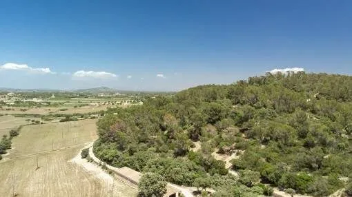 For investors-8 building plots with panoramic views in Porreres