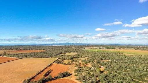 Breathtaking building plot with panoramic views near to Santanyi