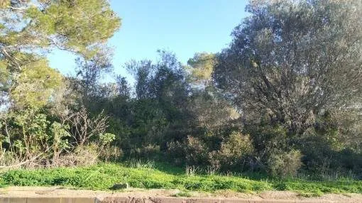 Beautiful building plot for a single-family detached house in a quiet location in Son Moja