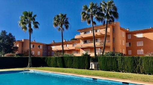 Penthouse apartment with large sun terrace and community pool in quiet residential complex in Maioris Penthouse apartment with large sun terrace and community pool in quiet residential complex in Maioris