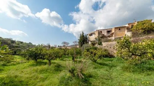 Village-house with a large orchard in Alaro requiring renovation
