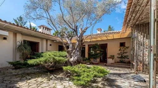 Exclusive designer-villa with wonderful garden in Esporles