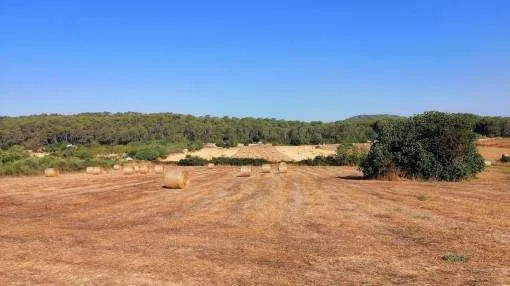 Quietly-situated finca building plot with basic project for a house with pool located between Petra and Sant Joan