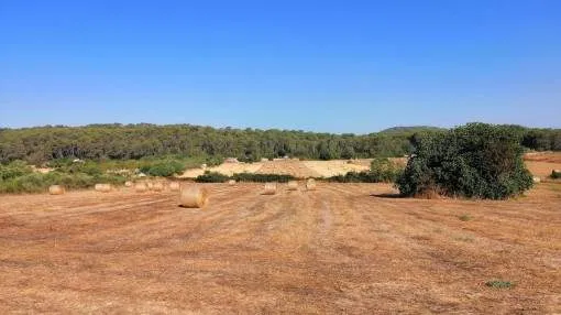 Quietly-situated finca building plot with construction project for a house with pool located between Petra and Sant Joan Quietly-situated finca building plot with construction project for a house with pool located between Petra and Sant Joan