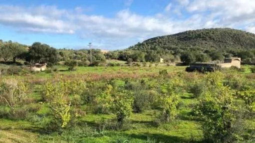 Large building plot for a detached house with pool and sweeping views in Son Servera