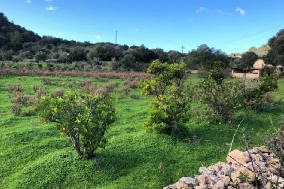 Large building plot for a detached house with pool and sweeping views in Son Servera