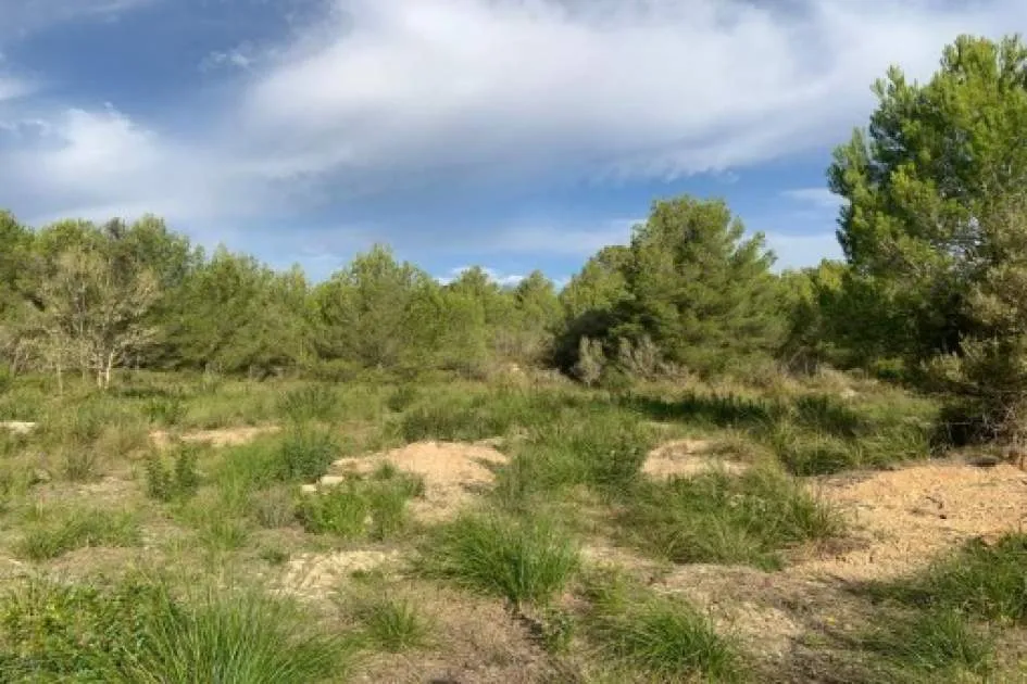 Building plot, surrounded by nature, 5 minutes from the beach of Font de Sa Cala