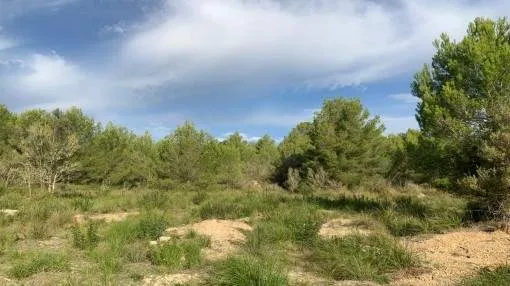 Building plot, surrounded by nature, 5 minutes from the beach of Font de Sa Cala