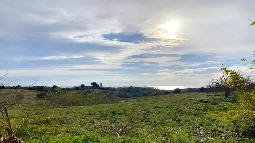 Building plot with older buildings and panoramic views as far as the sea in S'Espinager