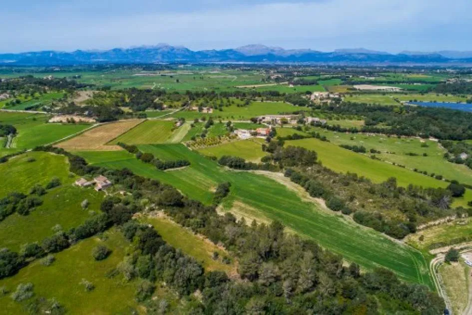 Finca building plot near Santa Margalida with a deep well and mains electricity
